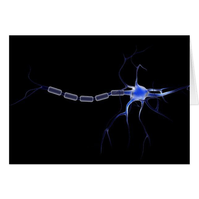 Conceptual Image Of A Neuron 2 (Front Horizontal)
