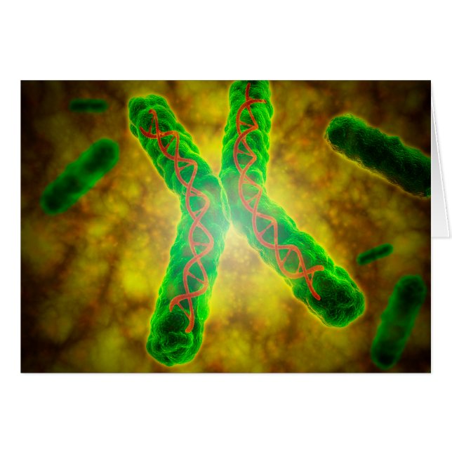 Conceptual Image Of A Telomere (Front Horizontal)