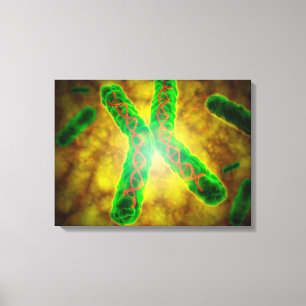 Conceptual Image Of A Telomere Canvas Print