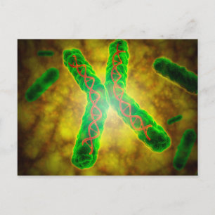 Conceptual Image Of A Telomere Postcard