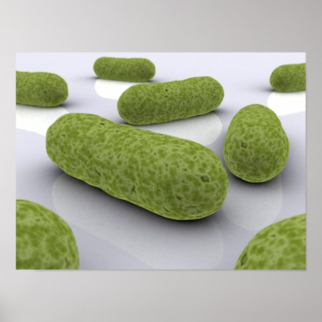 Conceptual Image Of Bacteria 1 Poster (Front)
