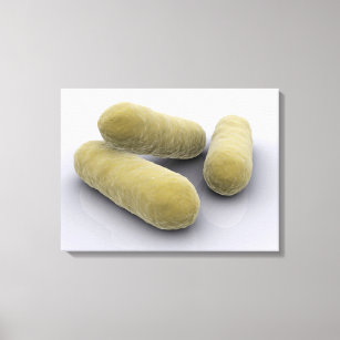 Conceptual Image Of Bacteria 2 Canvas Print