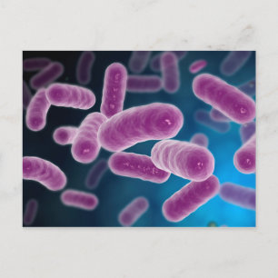 Conceptual Image Of Bacteria 3 Postcard