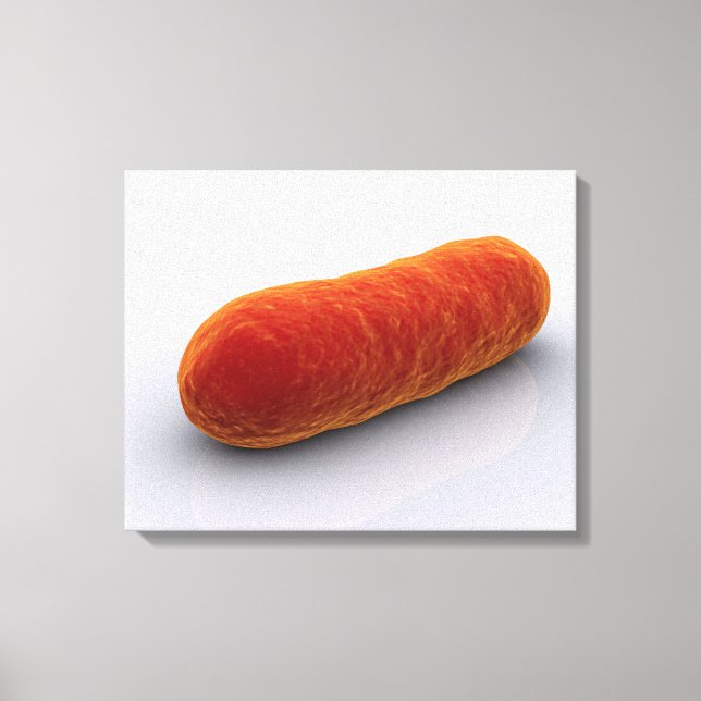 Conceptual Image Of Bacteria 4 Canvas Print (Front)