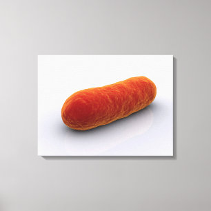 Conceptual Image Of Bacteria 4 Canvas Print