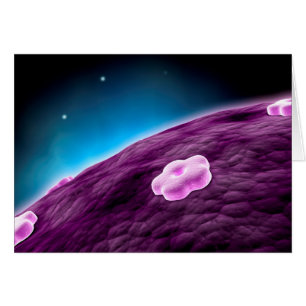Conceptual Image Of Cell Nucleus