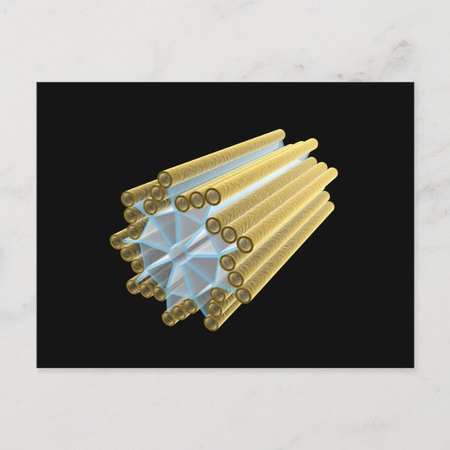 Conceptual Image Of Centriole Postcard (Front)
