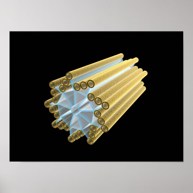 Conceptual Image Of Centriole Poster (Front)