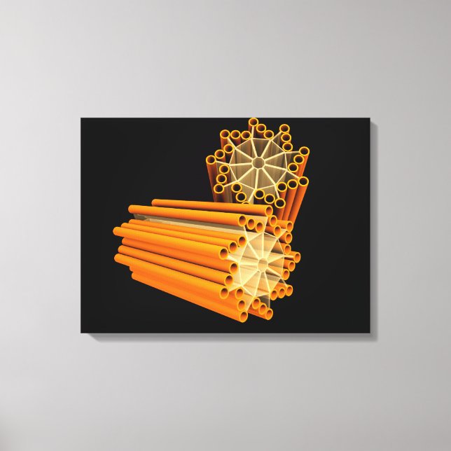 Conceptual Image Of Centrioles 1 Canvas Print (Front)