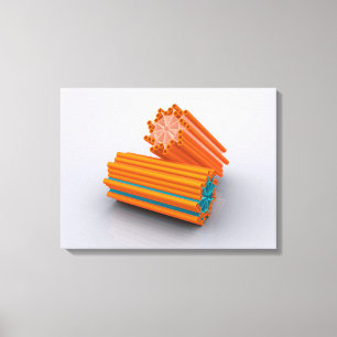 Conceptual Image Of Centrioles 2 Canvas Print