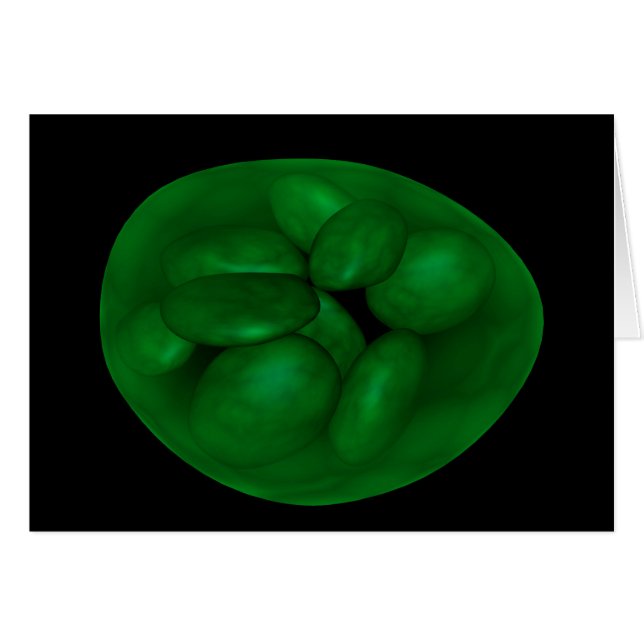 Conceptual Image Of Chloroplast 2 (Front Horizontal)