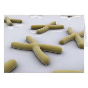 Conceptual Image Of Chromosome 1
