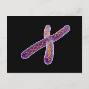 Conceptual Image Of Chromosome 2 Postcard