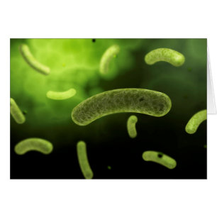 Conceptual Image Of Common Bacteria