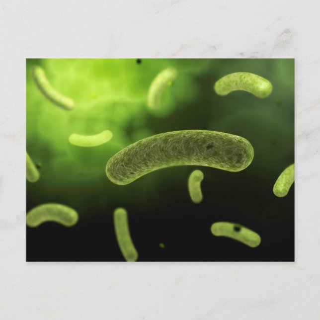 Conceptual Image Of Common Bacteria Postcard (Front)