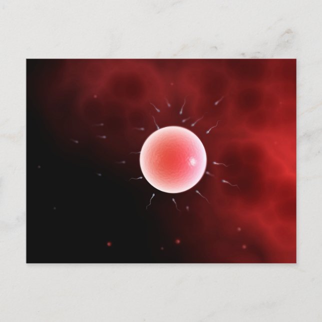 Conceptual Image Of Common Fertilisation Postcard (Front)