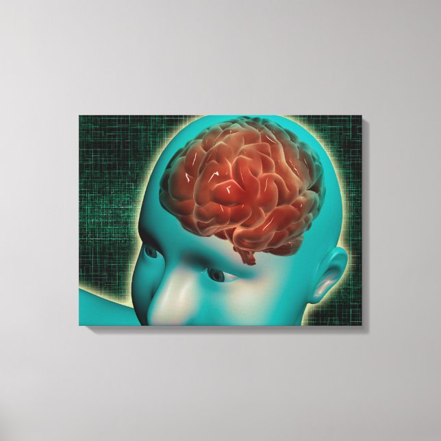 Conceptual Image Of Female Body With Brain 1 Canvas Print (Front)