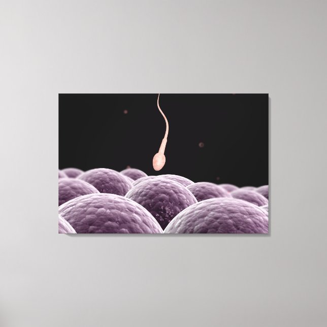 Conceptual Image Of Fertilisation Canvas Print (Front)
