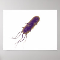Conceptual Image Of Flagellate Bacterium 2