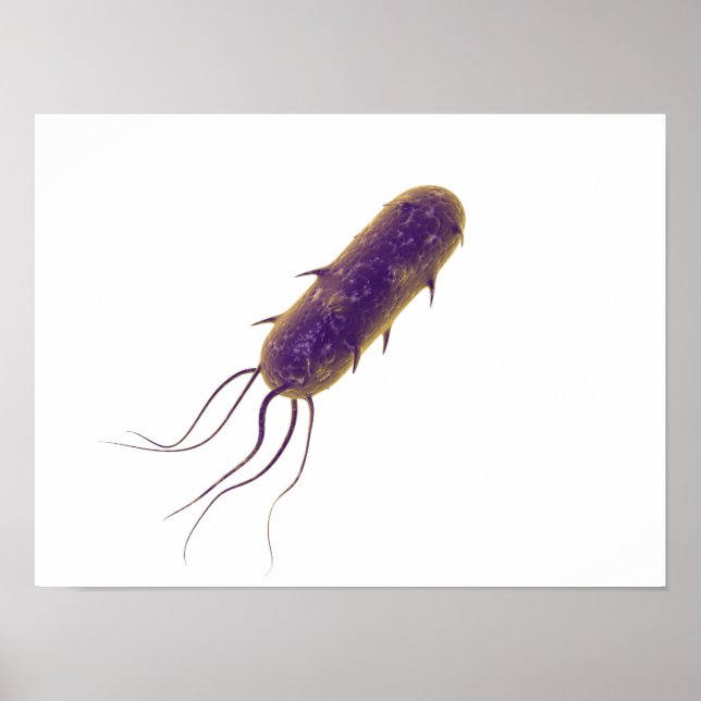 Conceptual Image Of Flagellate Bacterium 2 Poster (Front)