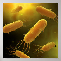 Conceptual Image Of Flagellate Bacterium 3