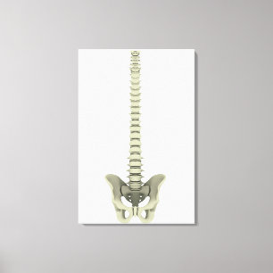Conceptual Image Of Human Backbone 1 Canvas Print