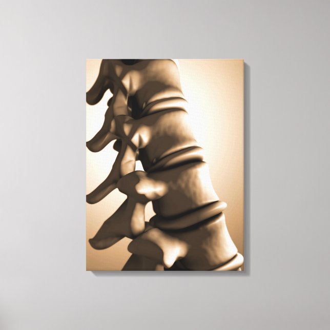 Conceptual Image Of Human Backbone 4 Canvas Print (Front)