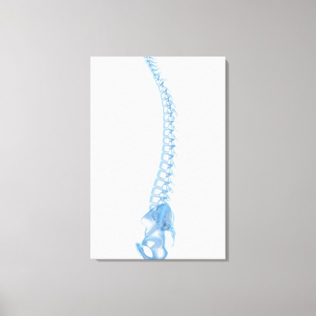 Conceptual Image Of Human Backbone 5 Canvas Print (Front)