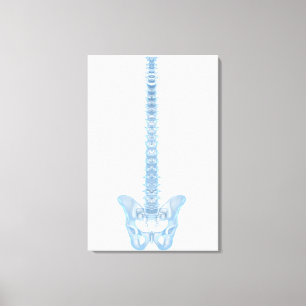 Conceptual Image Of Human Backbone 6 Canvas Print
