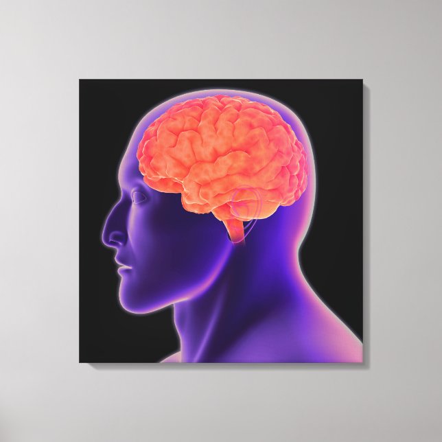 Conceptual Image Of Human Brain 1 Canvas Print (Front)