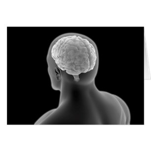 Conceptual Image Of Human Brain 2