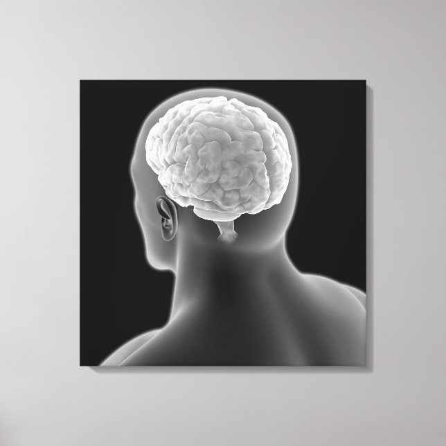 Conceptual Image Of Human Brain 2 Canvas Print (Front)
