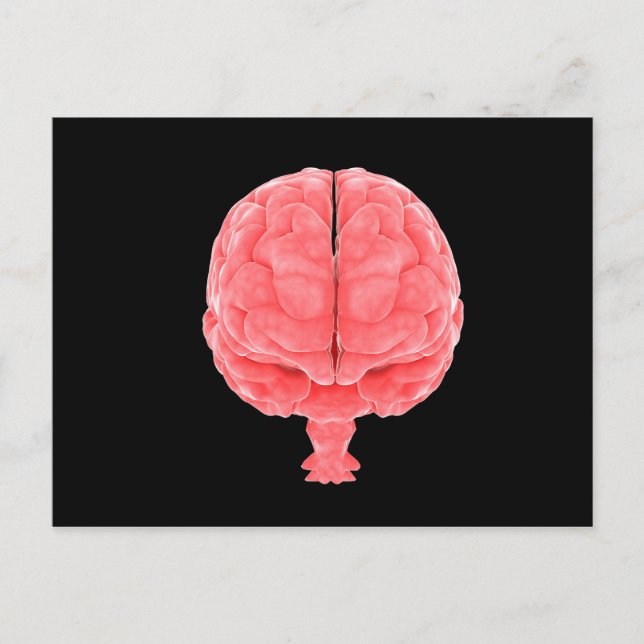 Conceptual Image Of Human Brain 3 Postcard (Front)