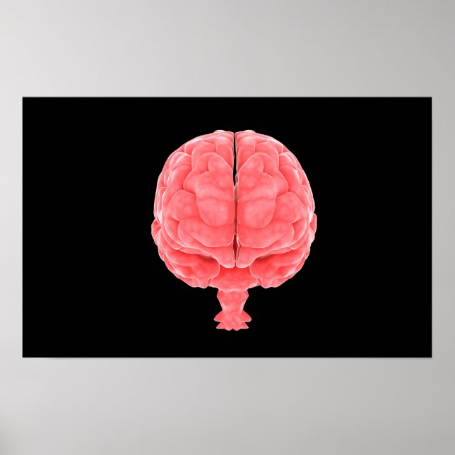 Conceptual Image Of Human Brain 3 Poster (Front)
