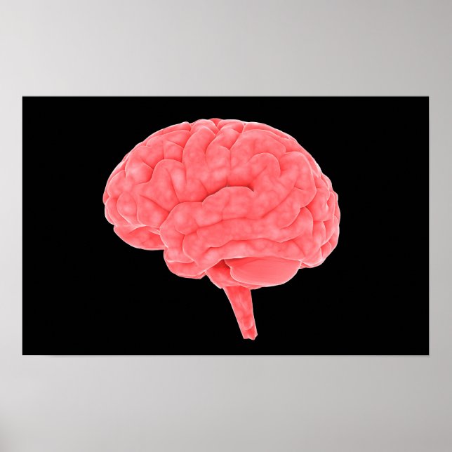 Conceptual Image Of Human Brain 4 Poster (Front)