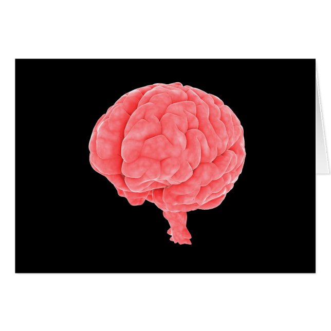 Conceptual Image Of Human Brain 5 (Front Horizontal)