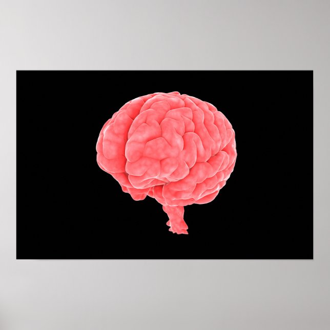 Conceptual Image Of Human Brain 5 Poster (Front)