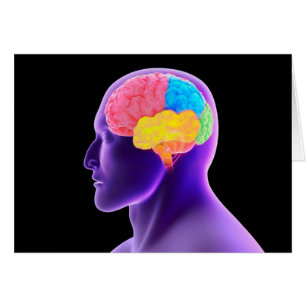 Conceptual Image Of Human Brain 7