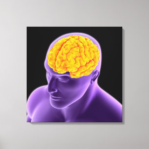 Conceptual Image Of Human Brain 8 Canvas Print