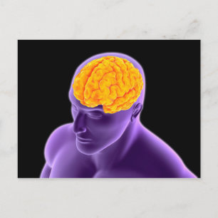 Conceptual Image Of Human Brain 8 Postcard