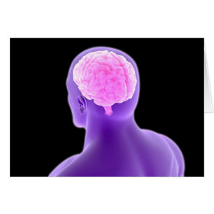 Conceptual Image Of Human Brain 9