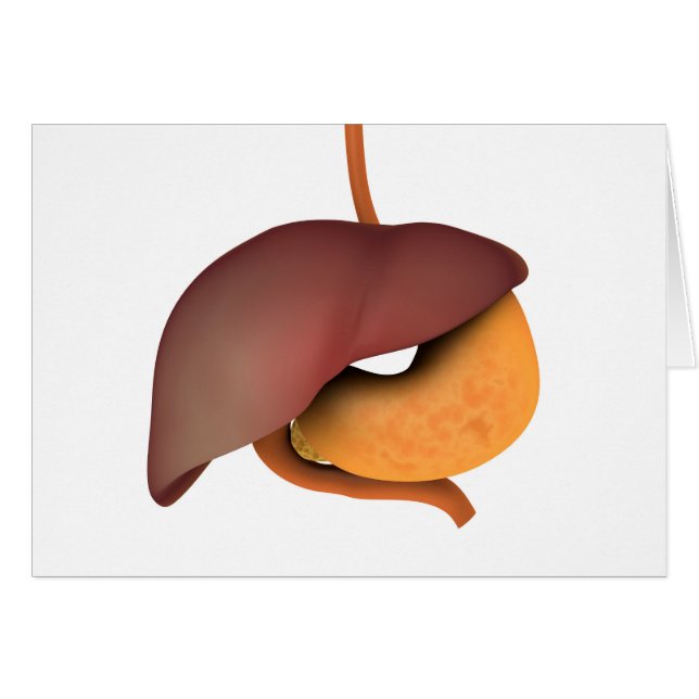 Conceptual Image Of Human Digestive System 3 (Front Horizontal)