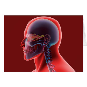 Conceptual Image Of Human Eye And Skull