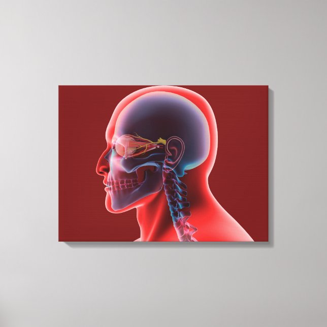 Conceptual Image Of Human Eye And Skull Canvas Print (Front)