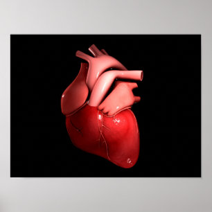 Conceptual Image Of Human Heart 1 Poster