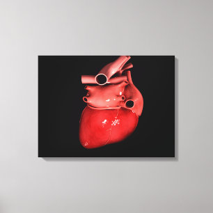 Conceptual Image Of Human Heart 3 Canvas Print