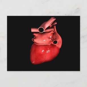 Conceptual Image Of Human Heart 3 Postcard