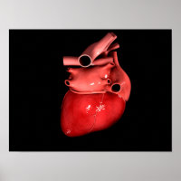 Conceptual Image Of Human Heart 3