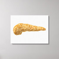 Conceptual Image Of Human Pancreas