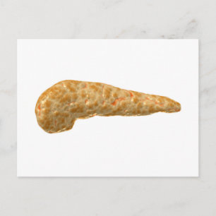 Conceptual Image Of Human Pancreas Postcard